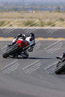 media/Oct-08-2022-SoCal Trackdays (Sat) [[1fc3beec89]]/Turn 11 Backside (1145am)/